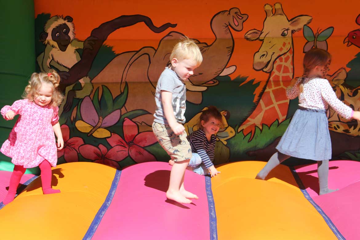 Jungle Fever Toddler Bouncer